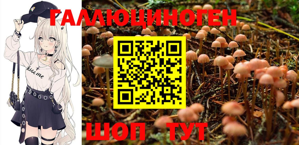 Галлюциногенные грибы ЛСД Кулебаки