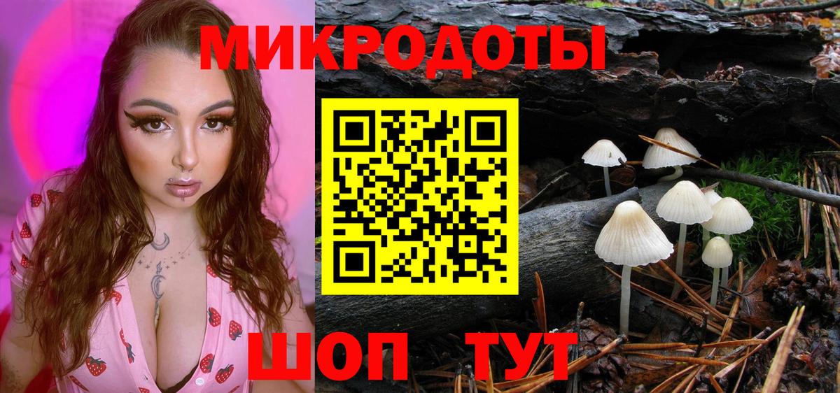 Кулебаки  Галлюциногенные грибы Psilocybine cubensis  Вход с VPN 