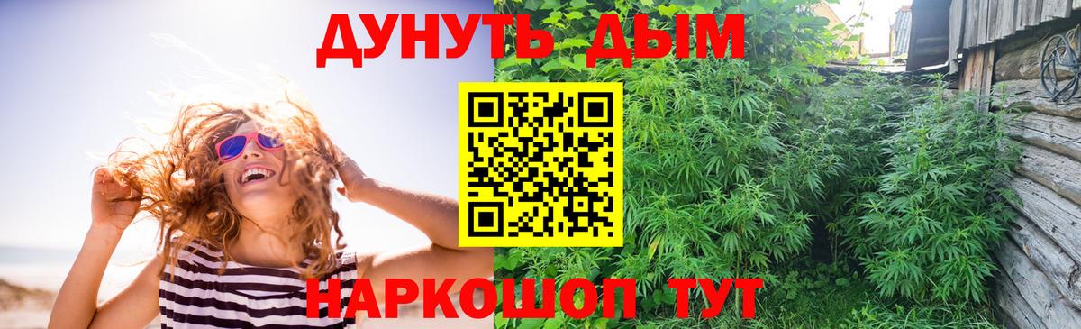 Конопля сатива Кулебаки